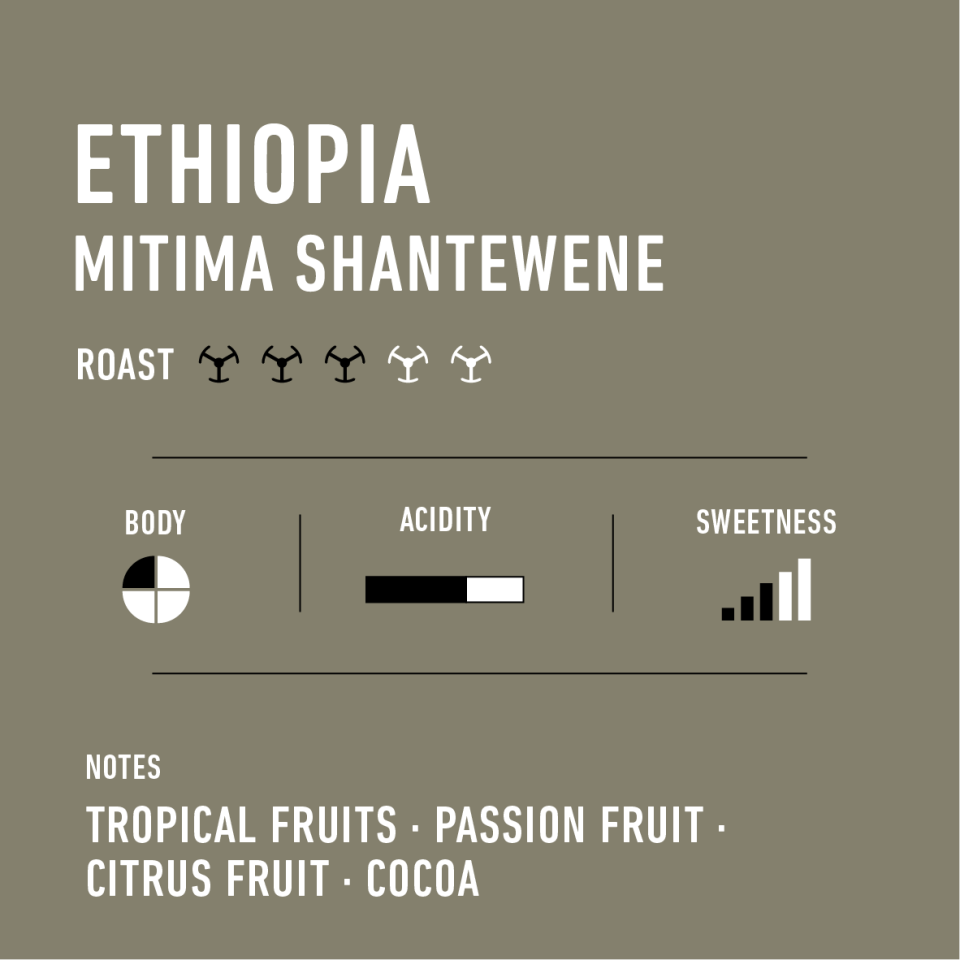 Ethiopia Mitima Shantewene