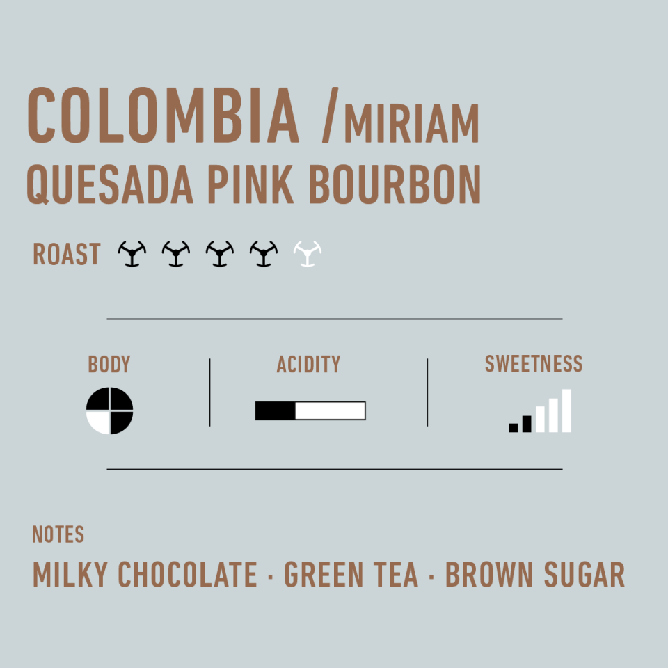 Colombia Miriam Quesada Pink Bourbon